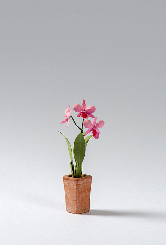 elfbar nachfüll pod läuft aus 6 Pack Clear Orchid Pot,7inch Plastic Plant Pots with Holes and  Saucers,Nursery Pots for Orchid Repotting Kit main image 0