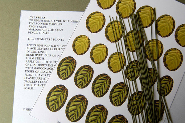 Calathea Paper Indoor Plant Kit  for 1/12th scale Dollhouses, Florists and Miniature Gardens