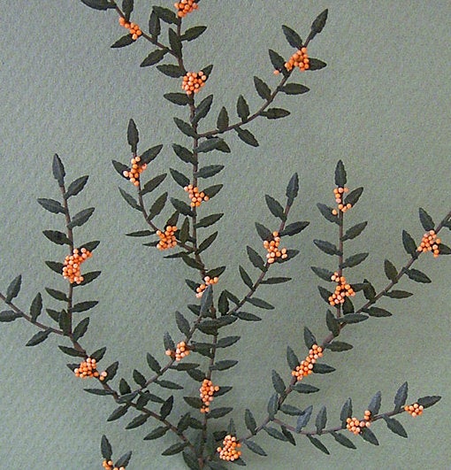 Pyracantha Paper Flower Kit  for 1/12th scale Dollhouses, Florists and Miniature Gardens