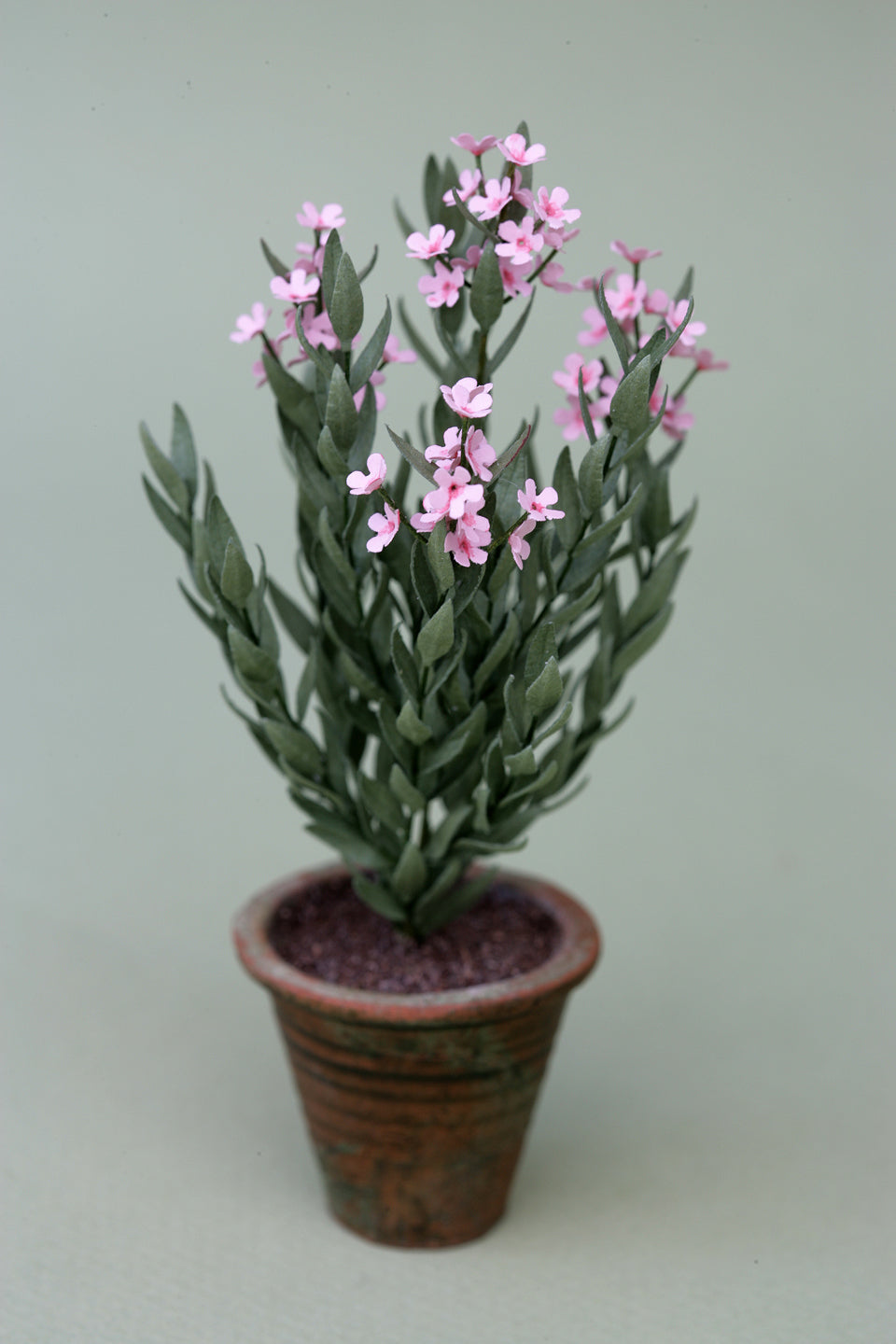 Oleander Kit  for 1/12th scale Dollhouses, Florists and Miniature Gardens