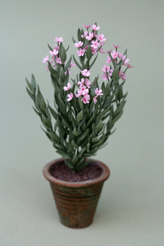 Oleander Kit  for 1/12th scale Dollhouses, Florists and Miniature Gardens