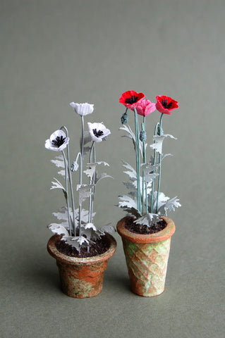 Opium Poppy  Kit  for 1/12th scale Dollhouses, Florists and Miniature Gardens
