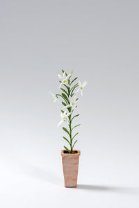 Angraecum Orchid kit for 1/12th scale Dollhouses, Conservatories and Florists