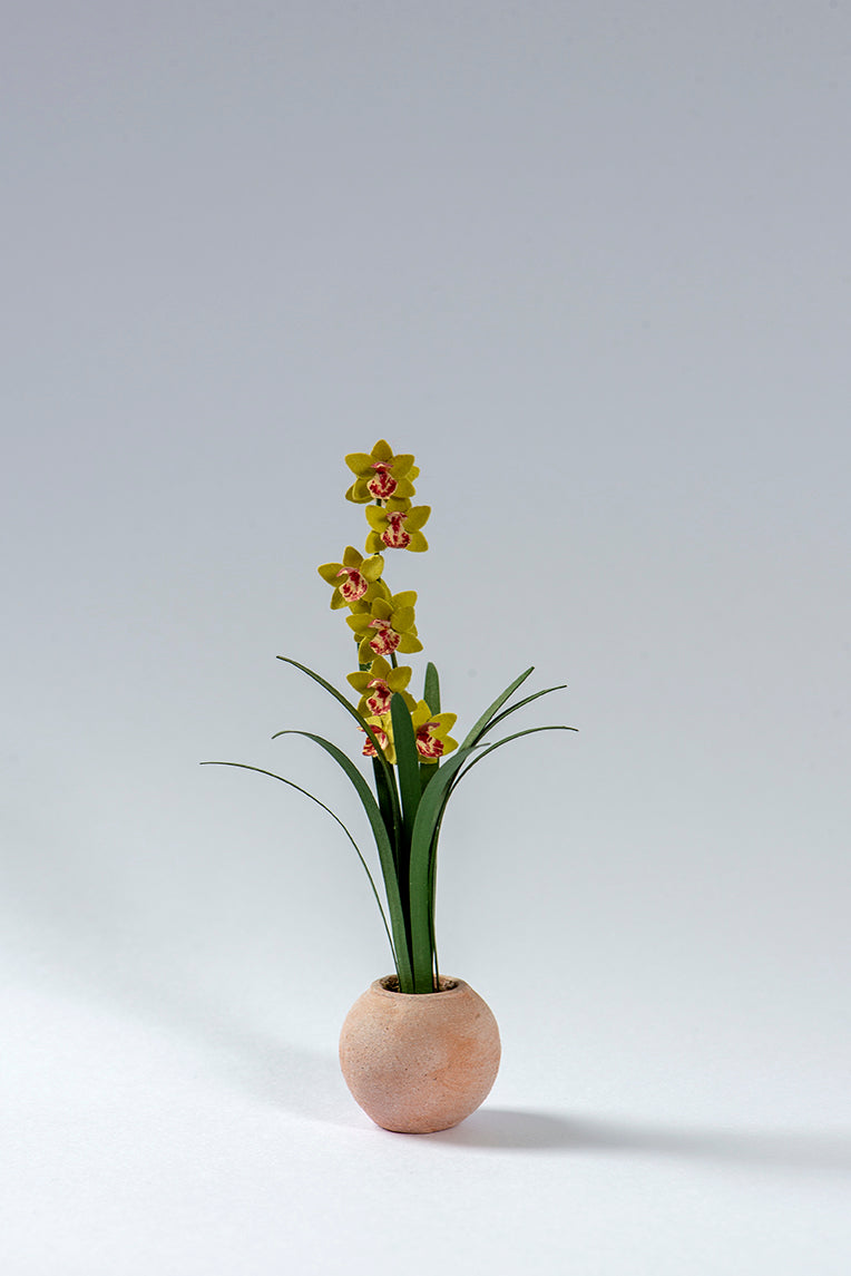 Cymbidium Orchid Paper Flower Kit  for 1/12th scale Dollhouses, Florists and Conservatories