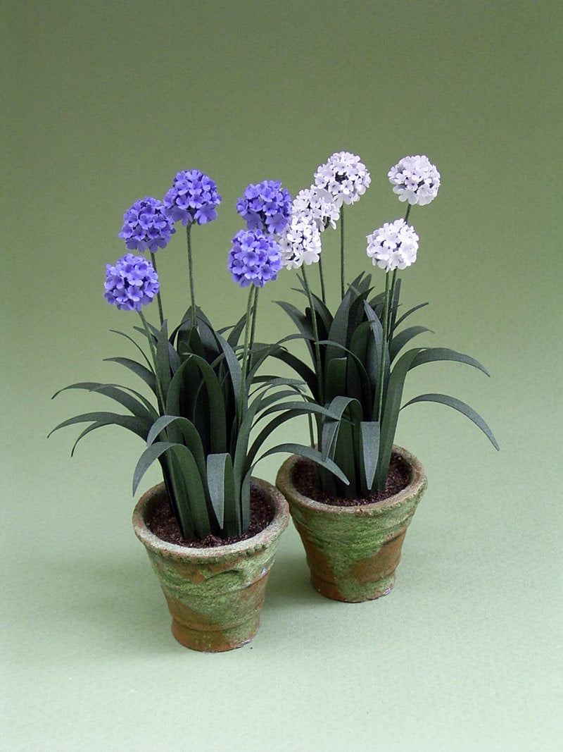 Agapanthus paper Flower Kit for 1/12th scale Dollhouses, Florists and Miniature Gardens