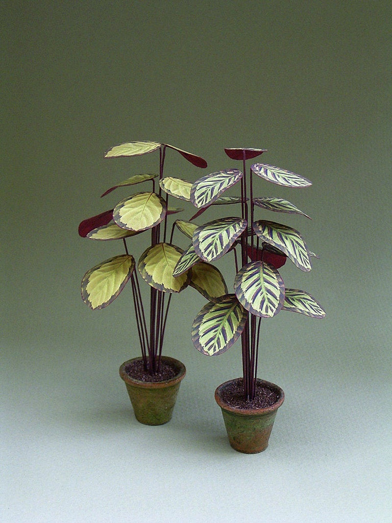 paper plant indoor Calathea Paper Indoor Plant Kit for 1/12th scale Dollhouses, Florists – The Miniature Garden