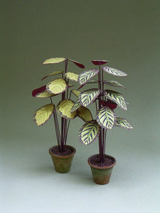 Calathea Paper Indoor Plant Kit  for 1/12th scale Dollhouses, Florists and Miniature Gardens