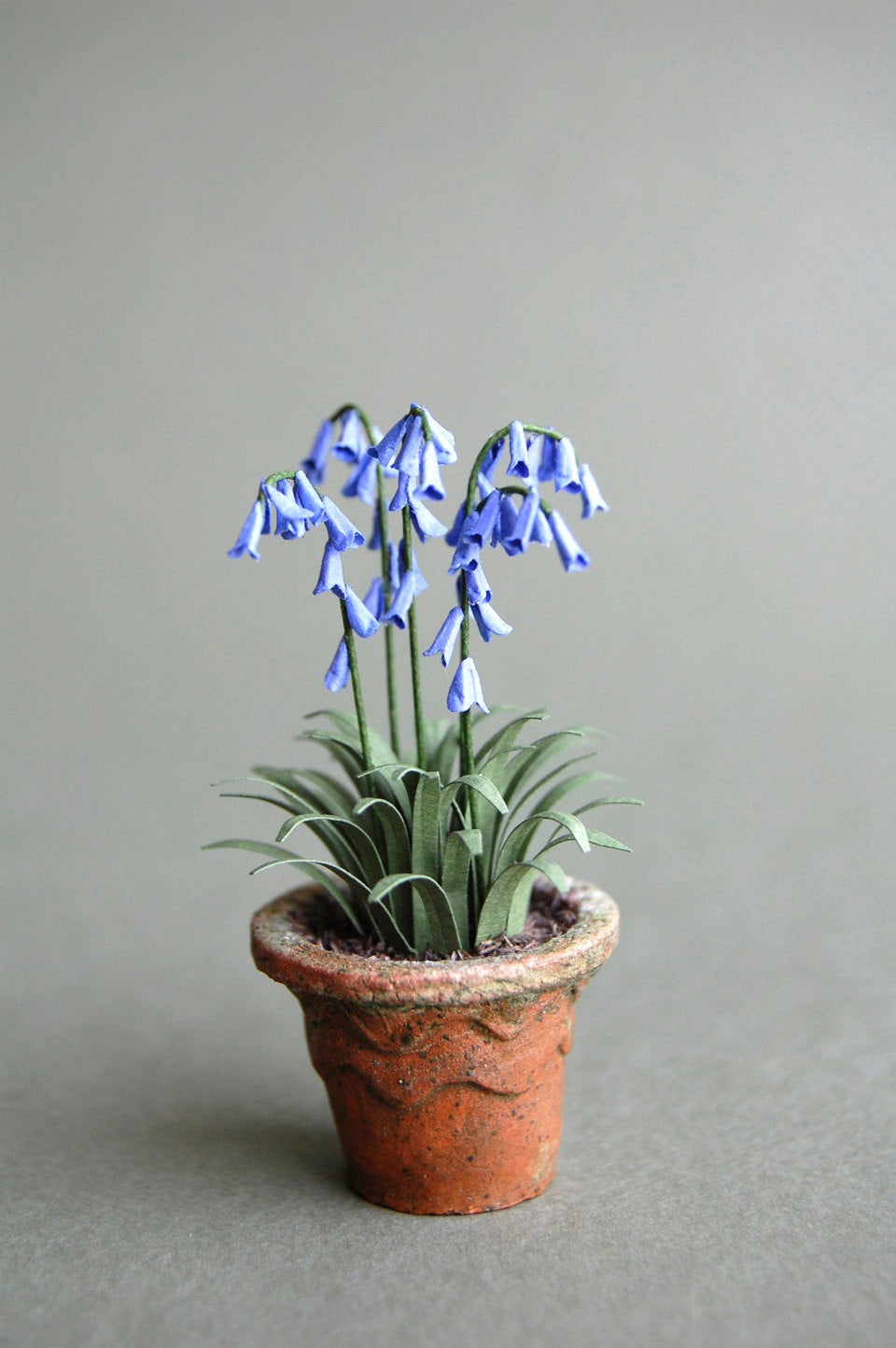 bluebell plants in pots Bluebell Paper Flower kit for 1/12th Dollhouses, Florists and Miniatur – The Miniature Garden
