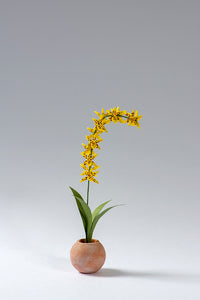 Odontocidium Orchid kit for 1/12th scale Dollhouses, Conservatories and Florists