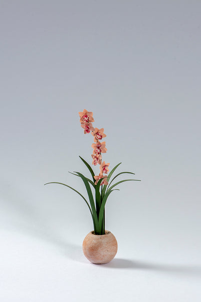 Cymbidium Orchid Paper Flower Kit  for 1/12th scale Dollhouses, Florists and Conservatories